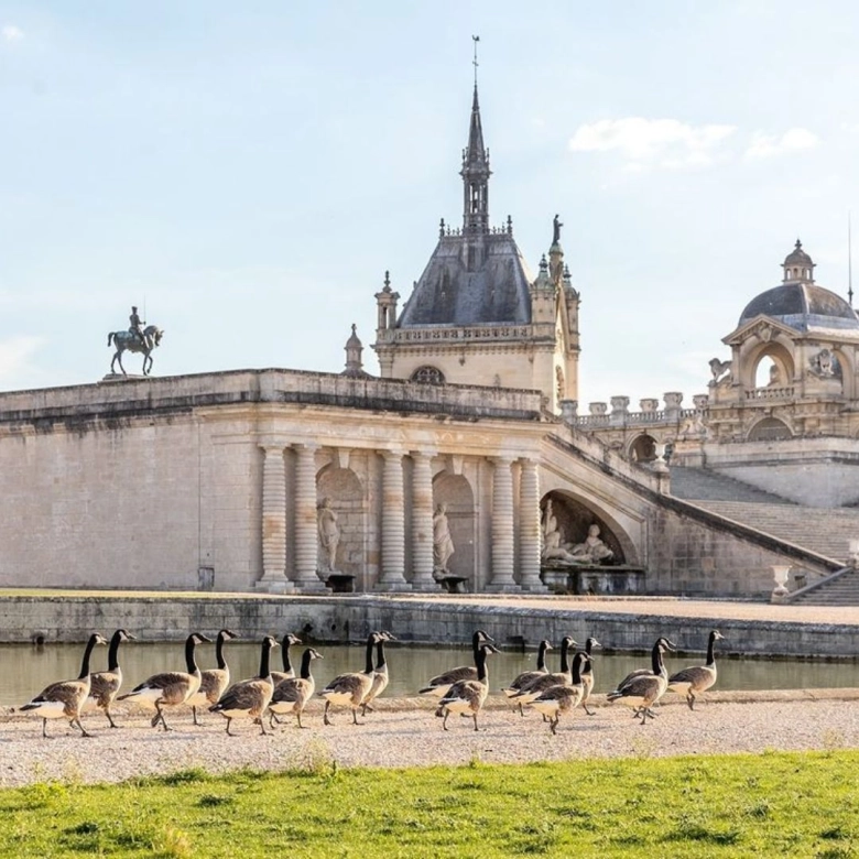 Chateau de Chantilly - @chateauchantilly - Paris