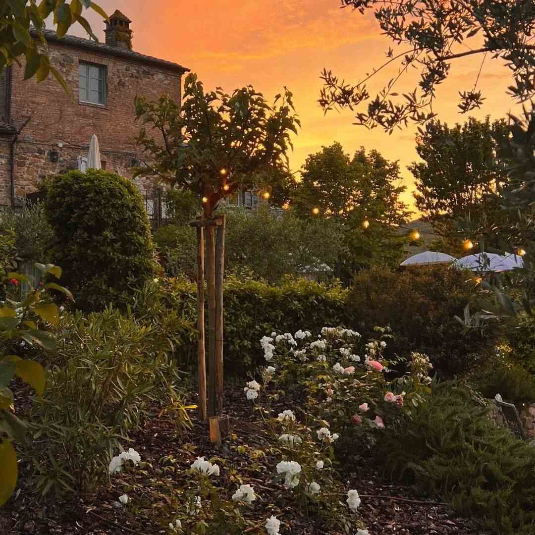 Lupaia - @lupaia - Tuscany